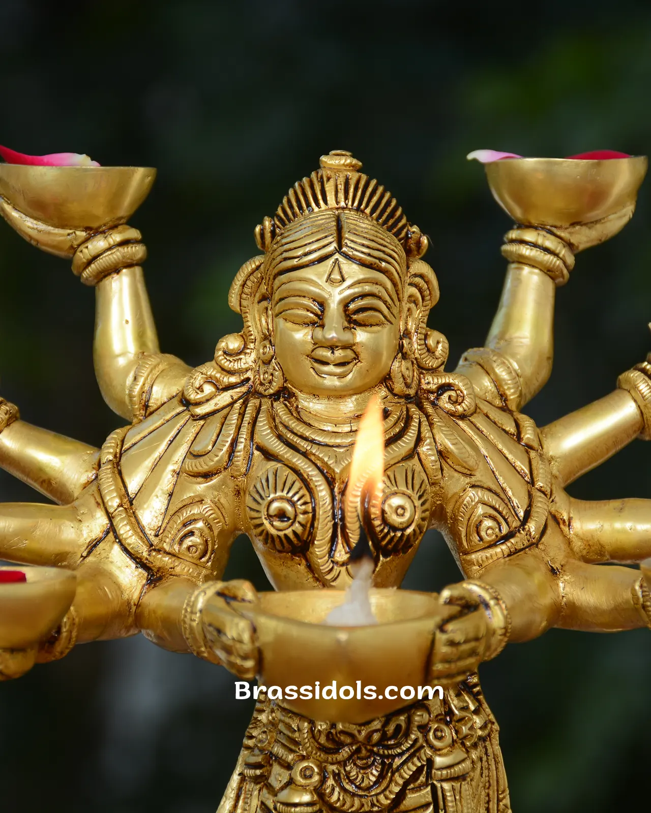 Deepalaxmi With Hands - image 2