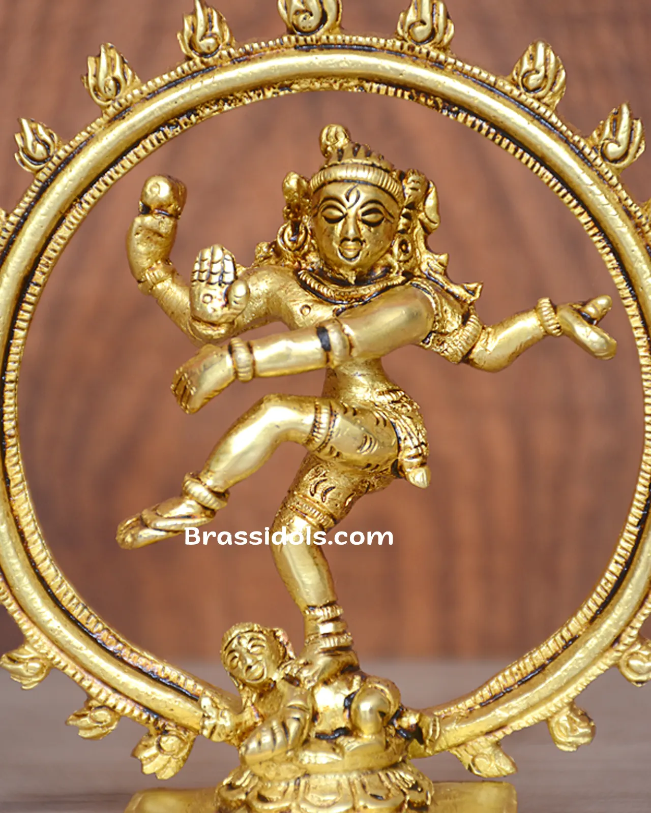 Natraj - image 2