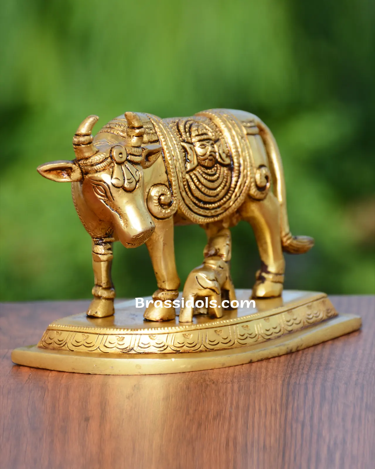 Cowcalf Banke Bihari - image 2