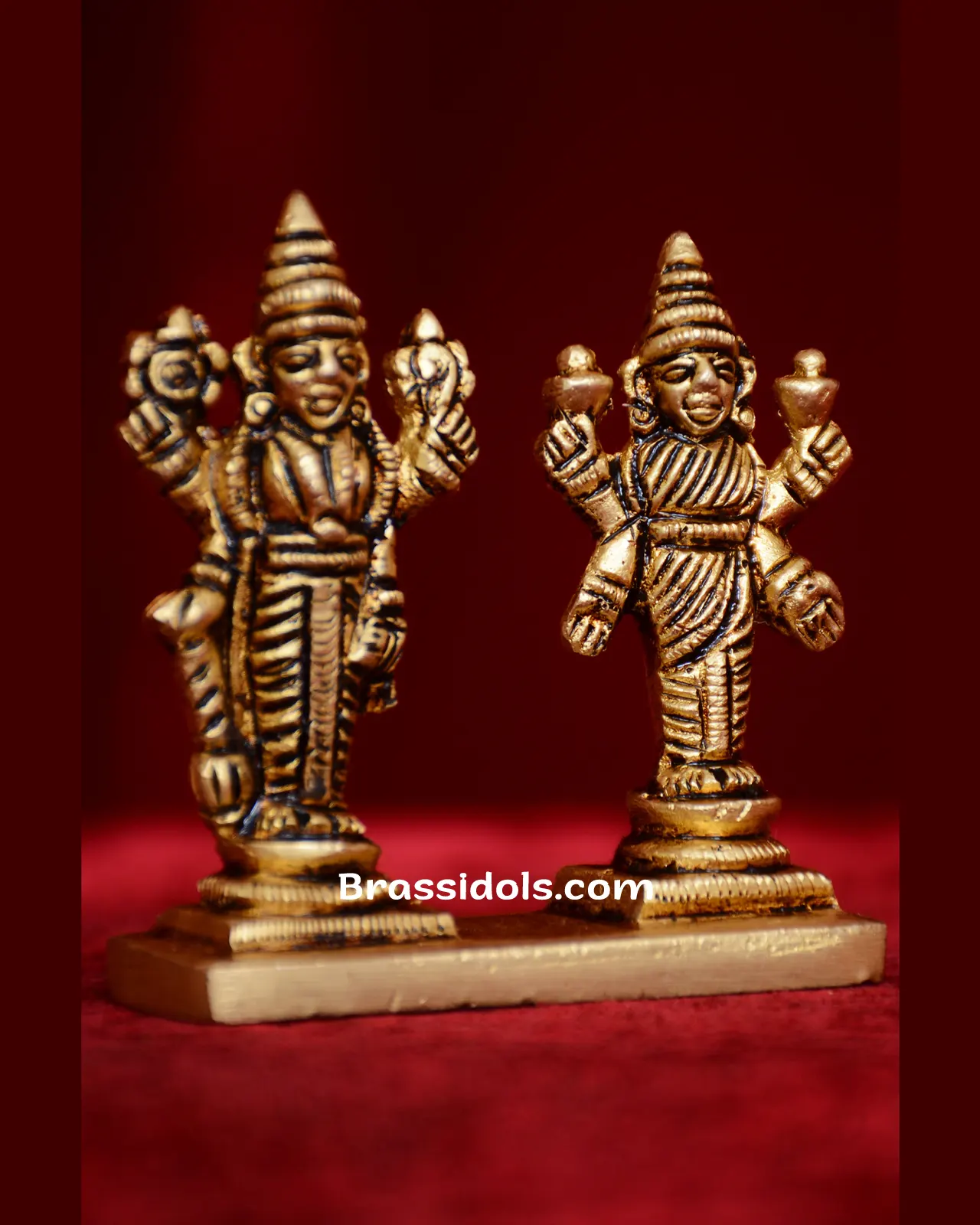Laxmi Vishnu Same Base - image 2