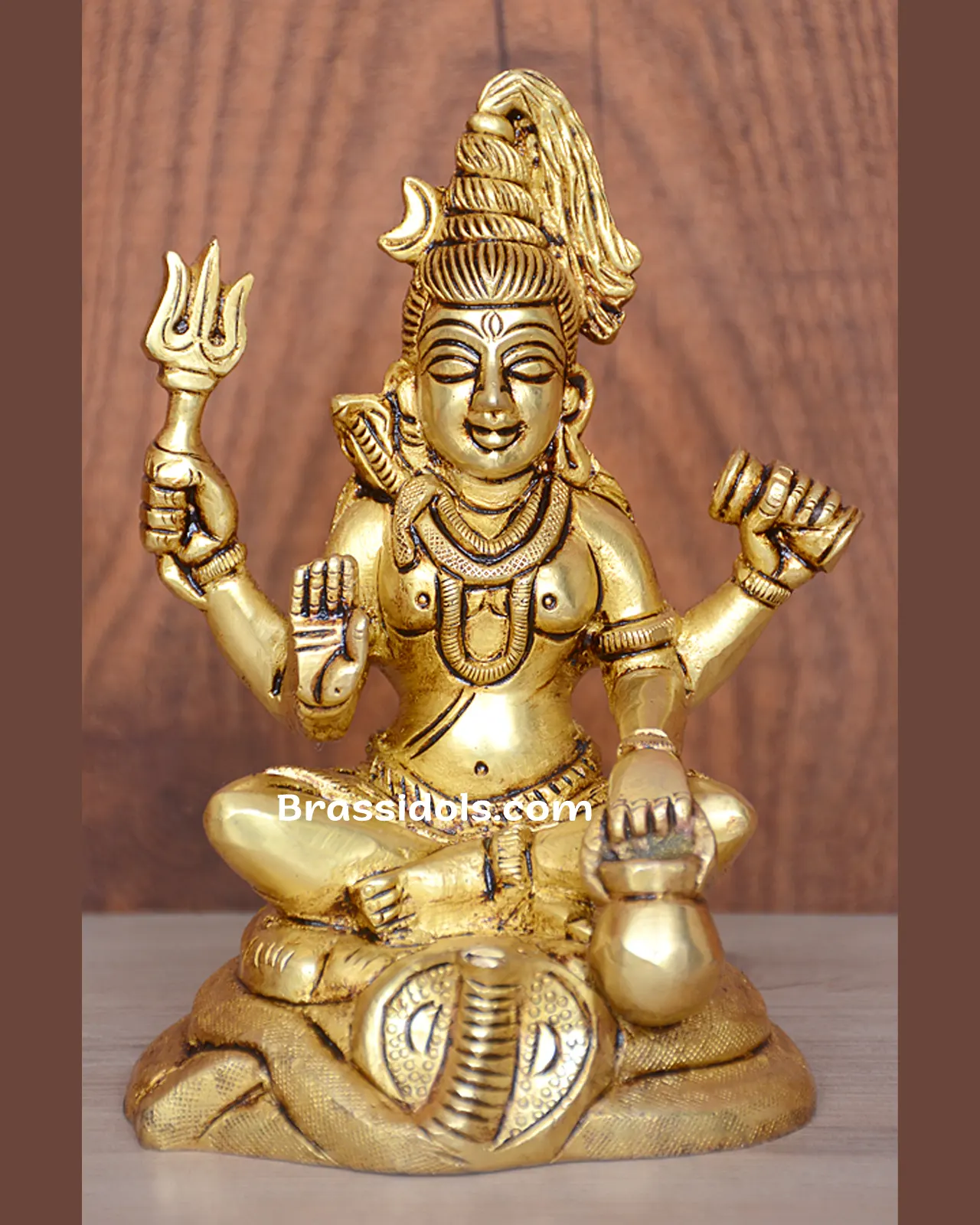 Shiva - image 1